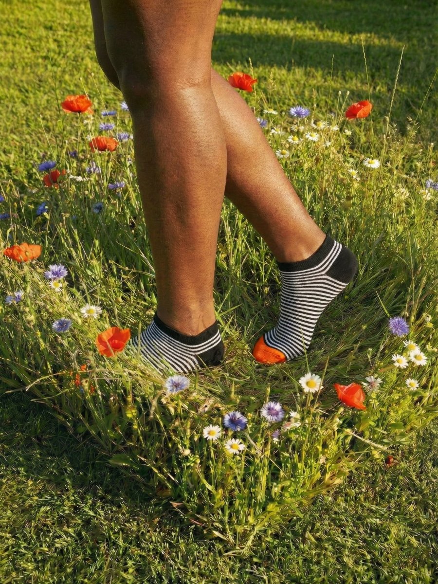 Short Nightfall Stripes