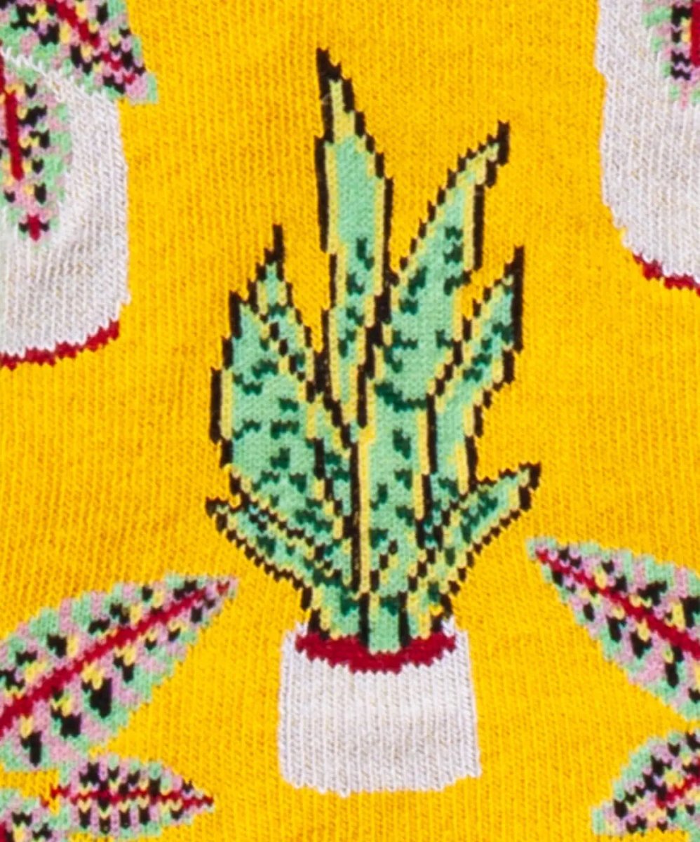 Sneakersocken Short Pottery von DillySocks