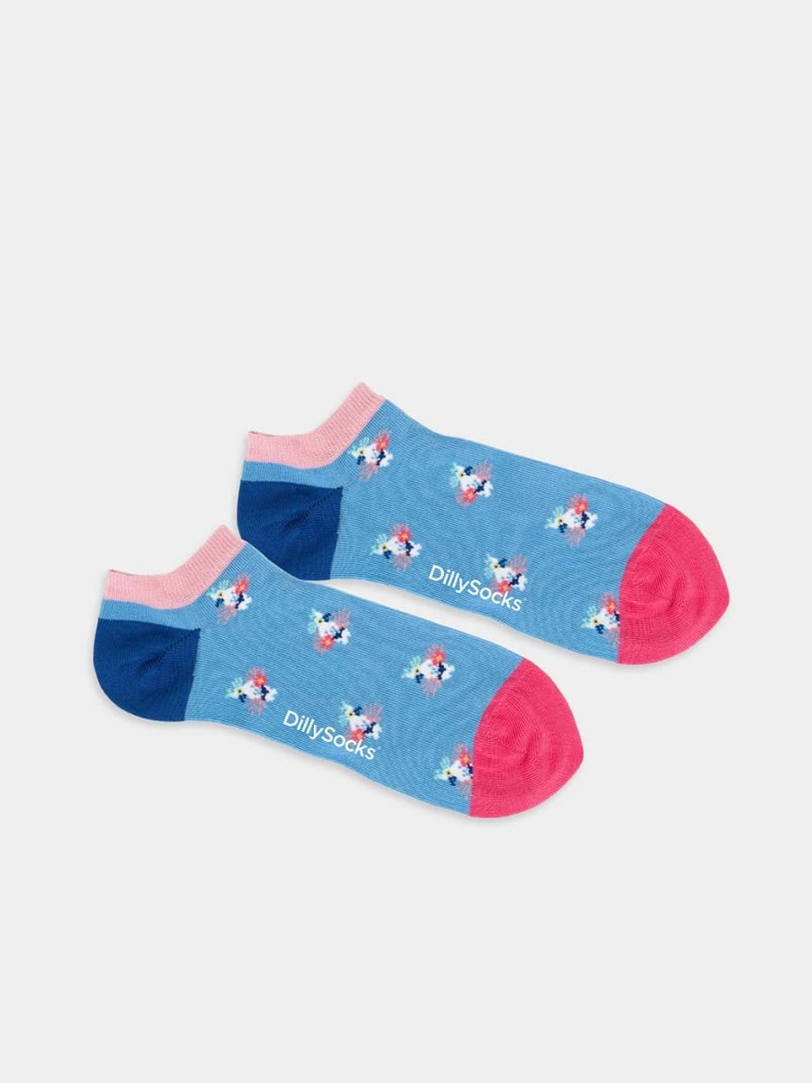 Short Tropical Bird of Paradise