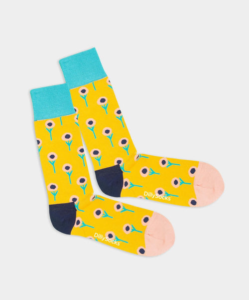dilly socks Notre chaussettes: Autumn Bloom