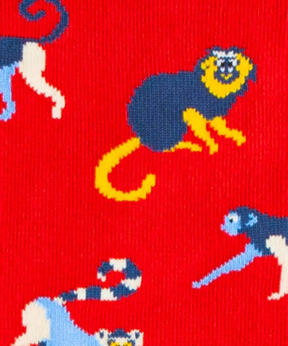 Baboon Fire