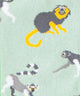 Baboon Tree