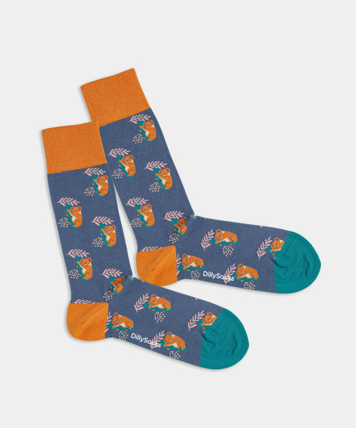 Product image - Comfy Koala