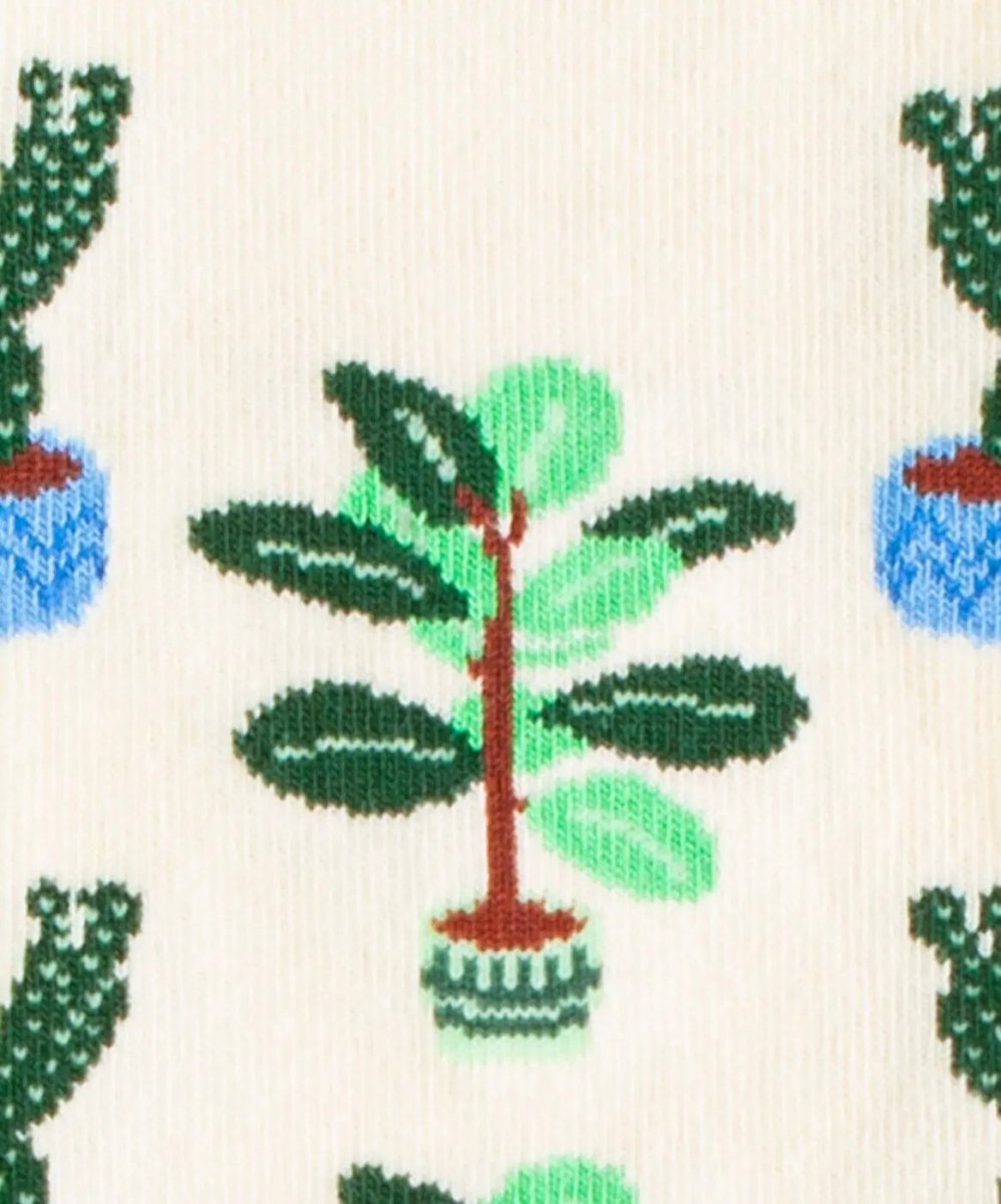 Cream Plants