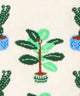 Cream Plants