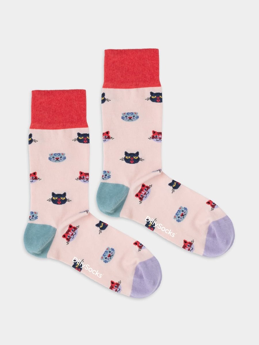 Socken Curious Cats von DillySocks