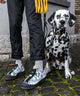Dalmatian