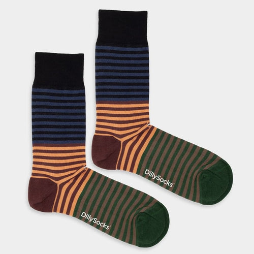 Socken Earthy Stripes von DillySocks