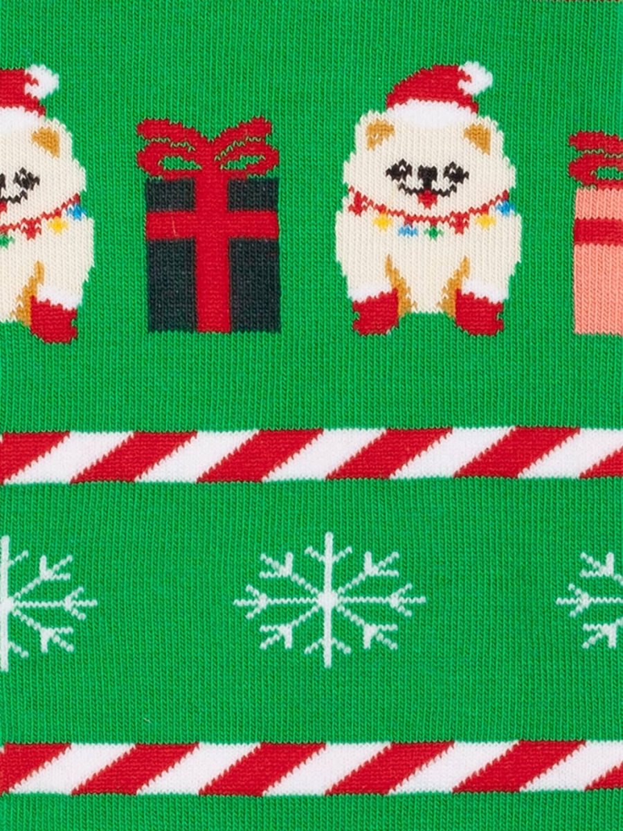 Festive Pomeranian