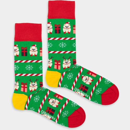 Socken Festive Pomeranian von DillySocks