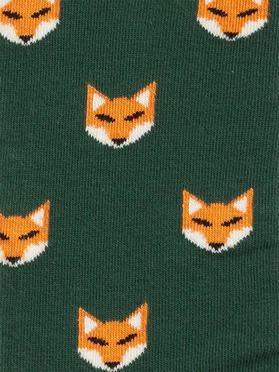 Fossiled Fox
