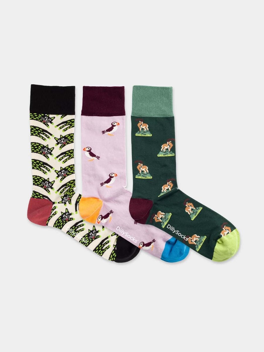 Cat &amp; Puffin &amp; Capricorn (box of 3)