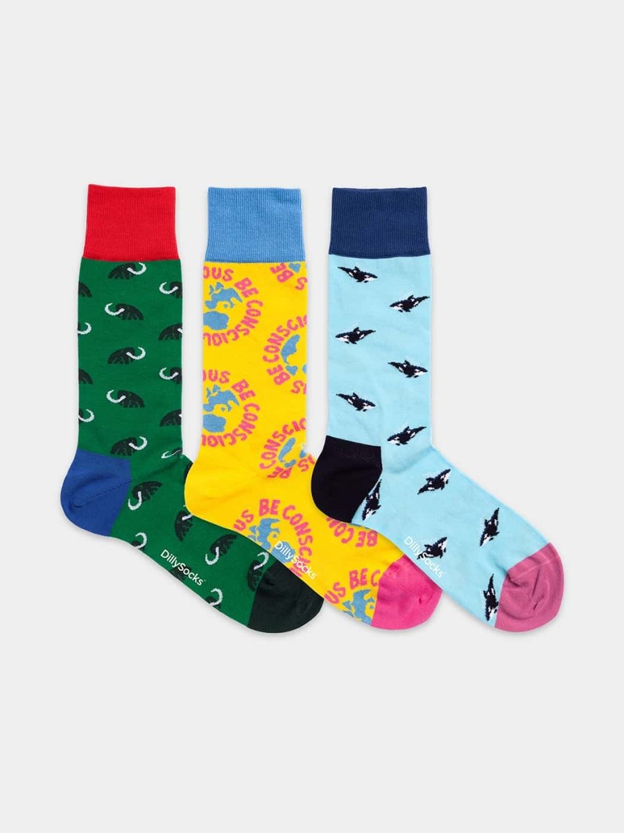 Socken - Geschenkbox Climate Consciousness (3er Box) von DillySocks