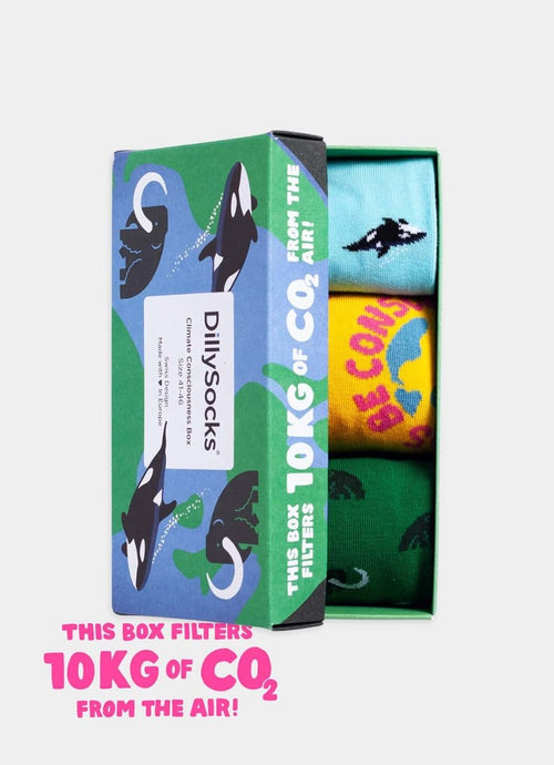 Socken - Geschenkbox Climate Consciousness (3er Box) von DillySocks