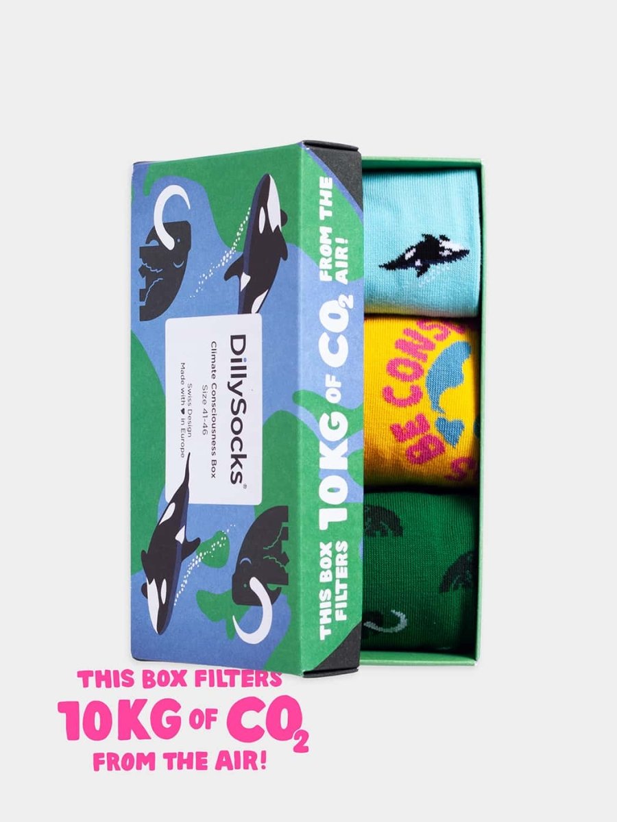 Socken - Geschenkbox Climate Consciousness (3er Box) von DillySocks
