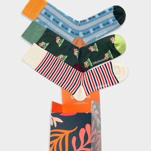 Socken - Geschenkbox Evergreen Highlights (3er Box) von DillySocks