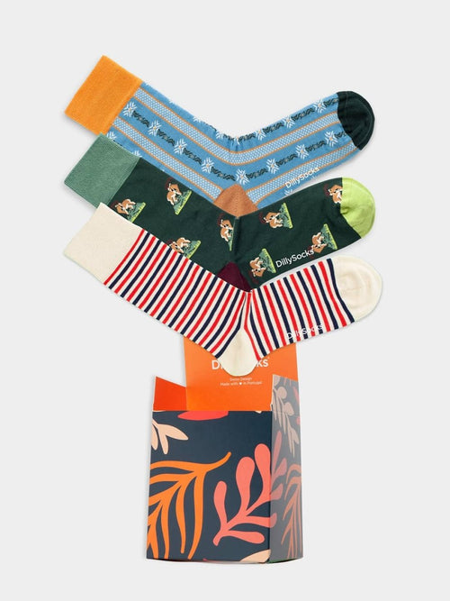 Evergreen Highlights (3er Box)