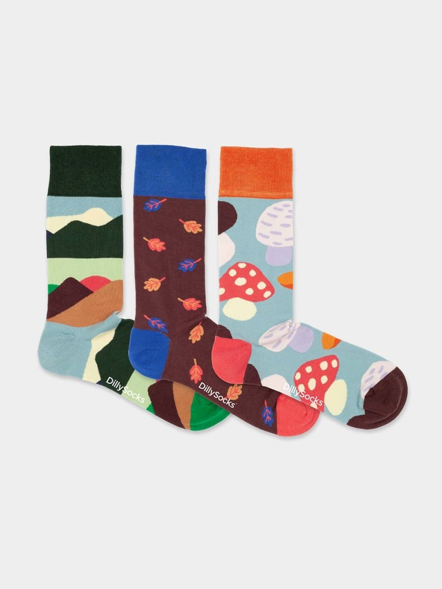 Socken - Geschenkbox Fall Wonders (3er Box) von DillySocks