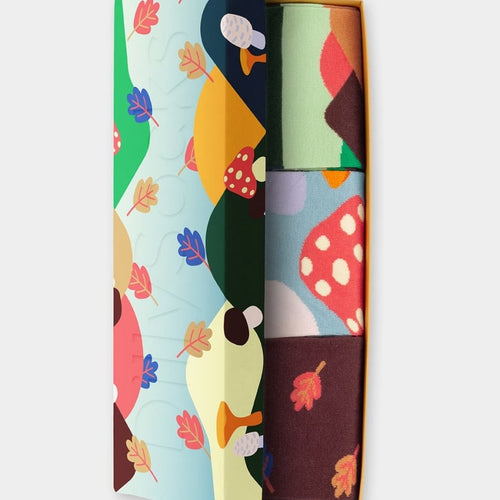Socken - Geschenkbox Fall Wonders (3er Box) von DillySocks