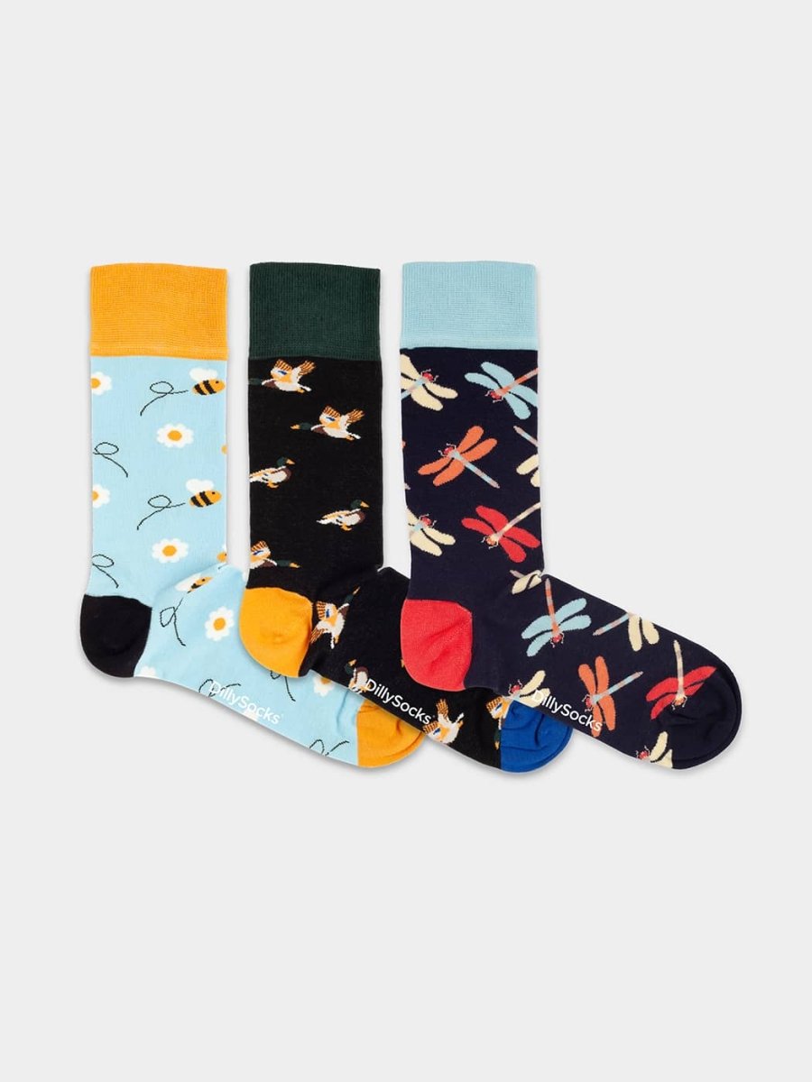 Flutter into Spring (3er Box)