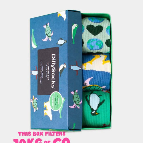 Socken - Geschenkbox Klimabox (3er Box) von DillySocks