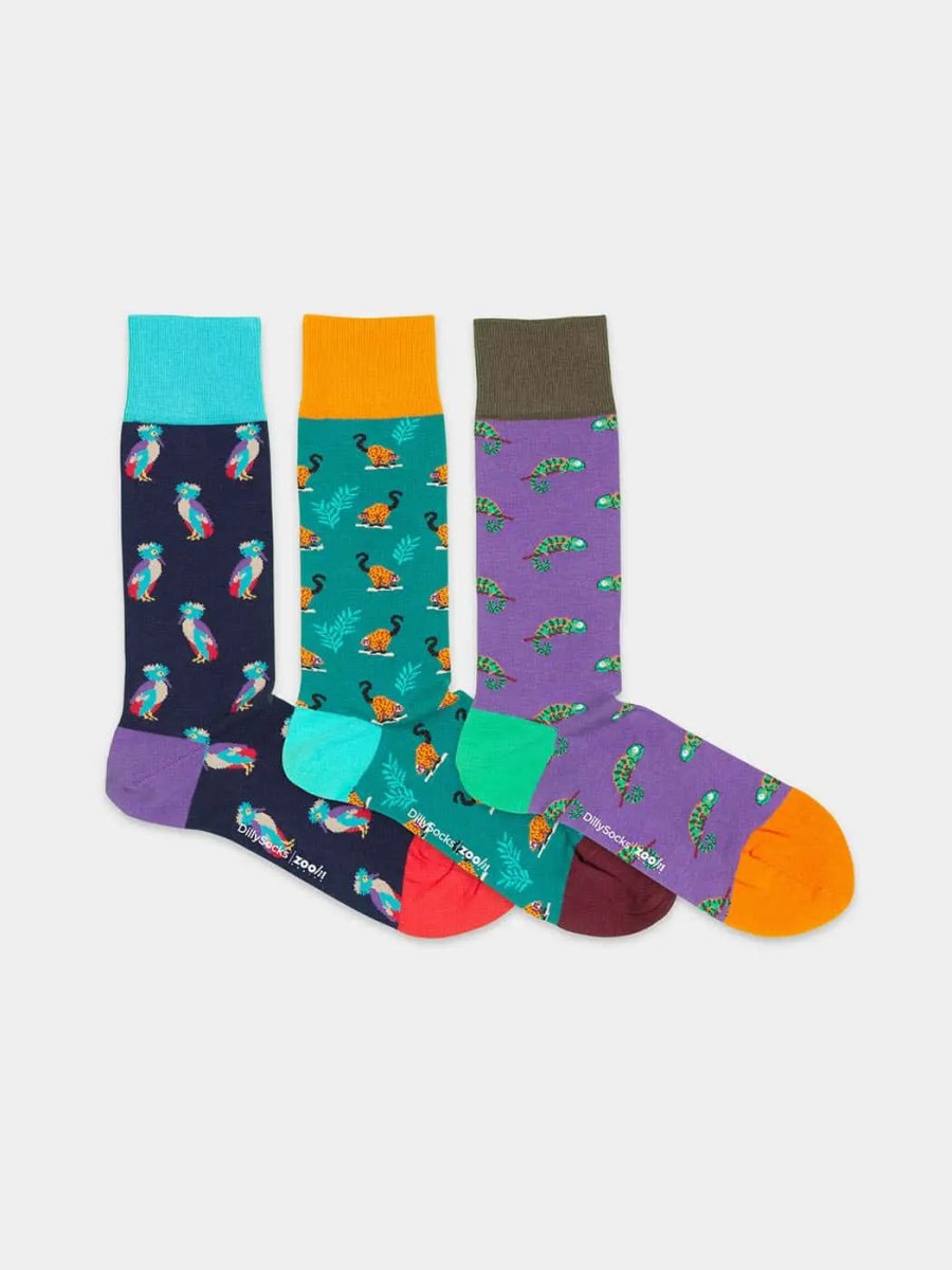 Socken - Geschenkbox Masoala (3er Box) von DillySocks