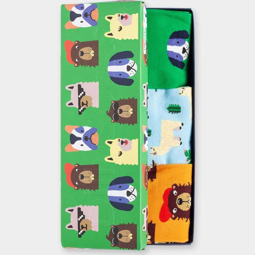 Socken - Geschenkbox Paws & Friends (3er Box) von DillySocks