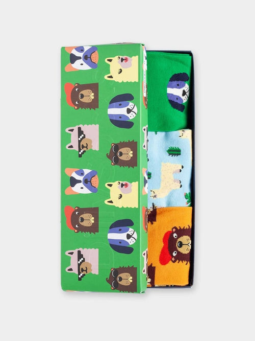 dilly socks Notre Coffret Cadeau Chaussettes: Paws & Friends (boîte de 3)