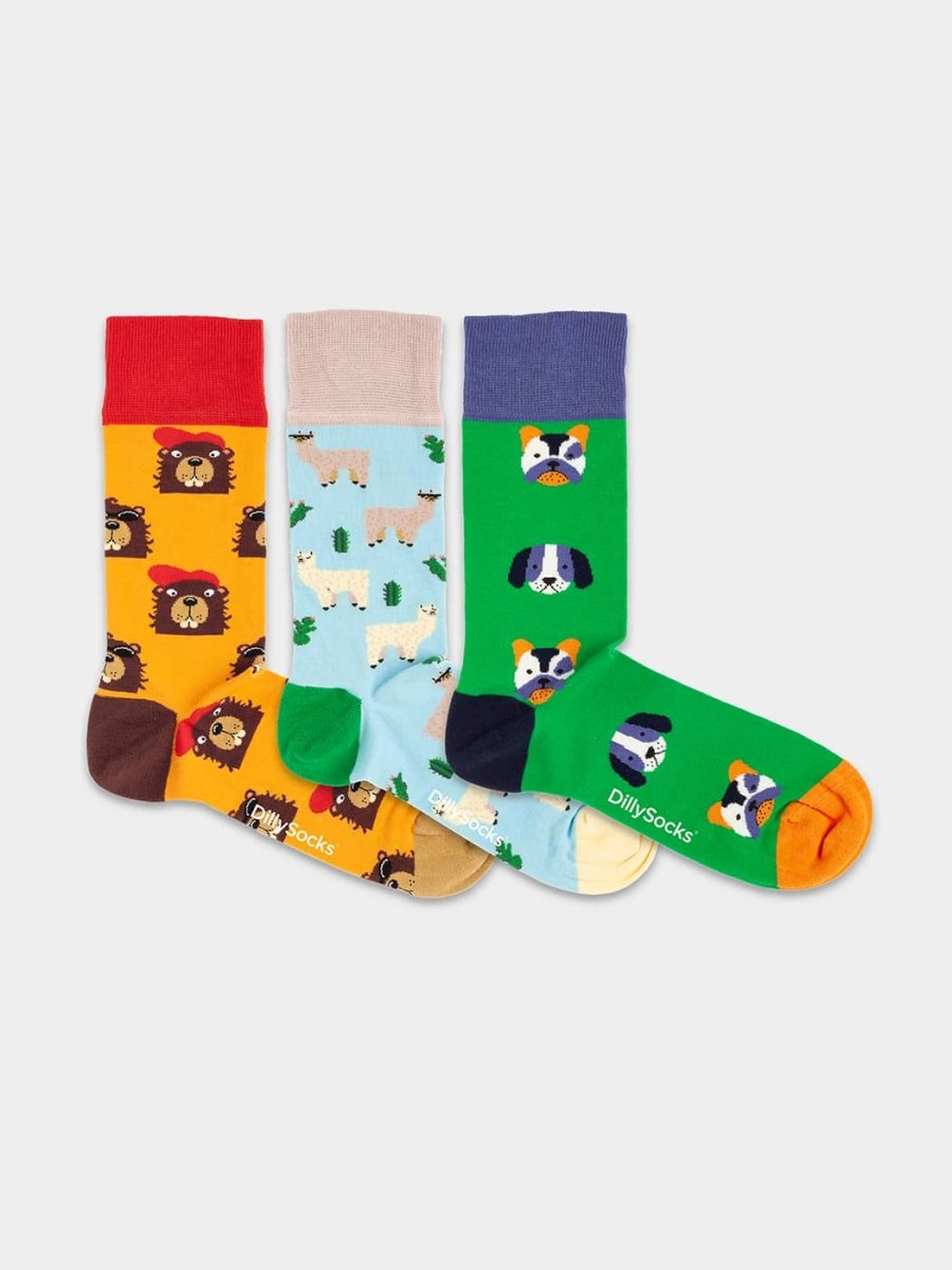 Paws & Friends (boîte de 3)