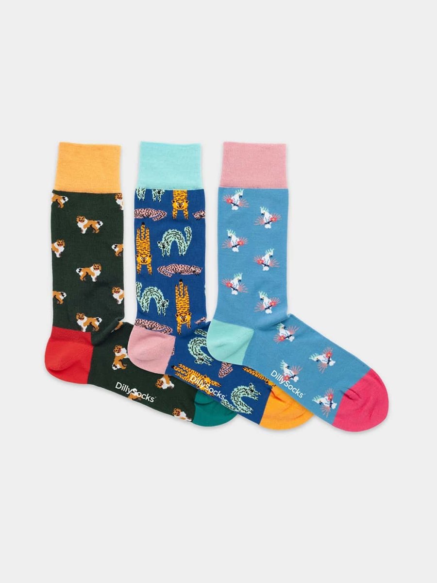 Pet Trio (Box of 3)