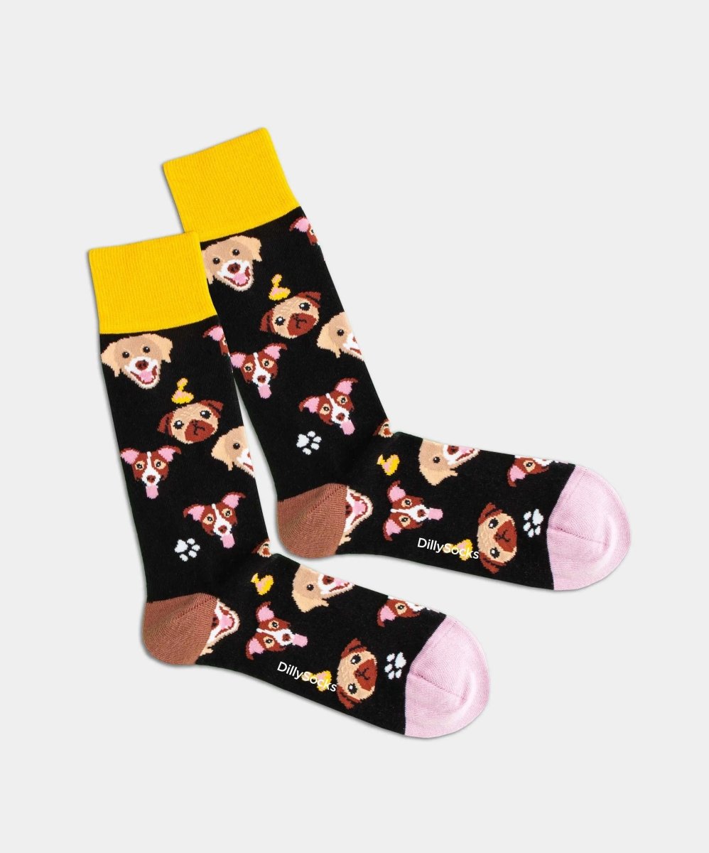 Socken - Geschenkbox Pets Pack (3er Box) von DillySocks