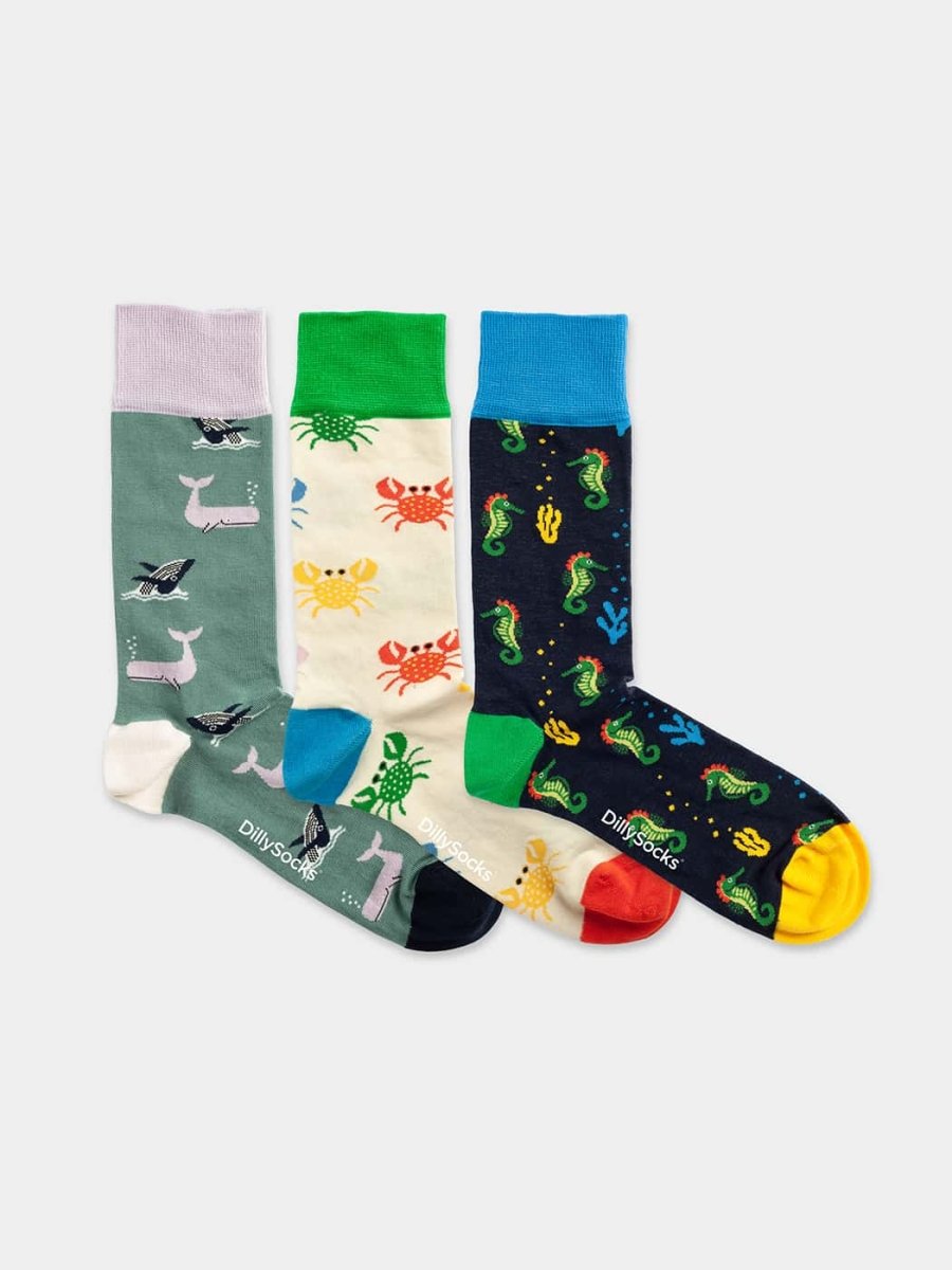 Under the Sea (Box of 3)