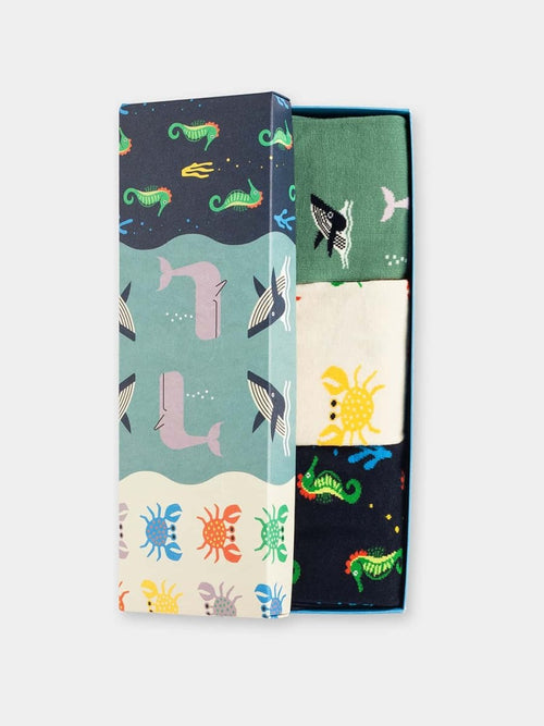 dilly socks Notre Coffret Cadeau Chaussettes: Under the Sea (boîte de 3)