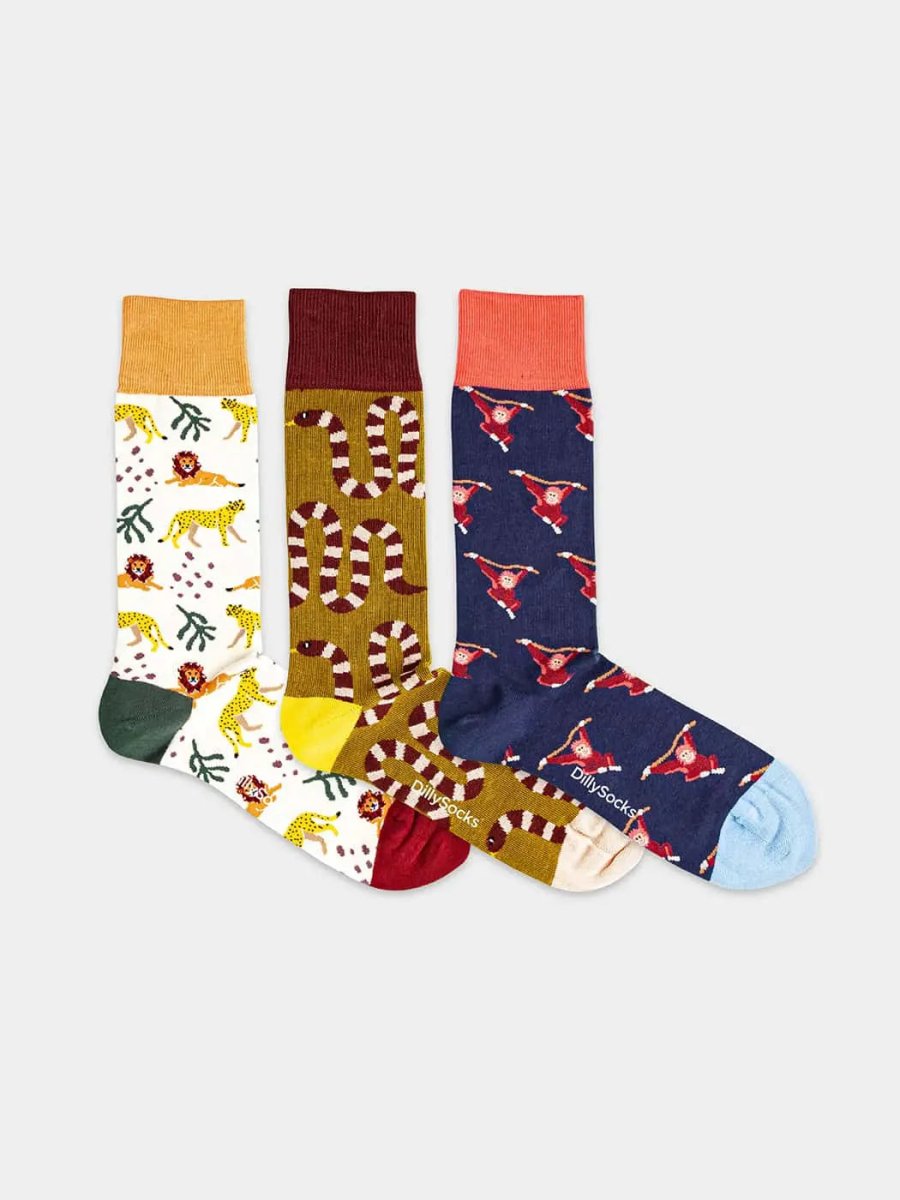 Wild Animal (Box of 3)