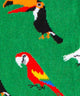 Grass Aviary