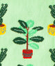Grass Plants