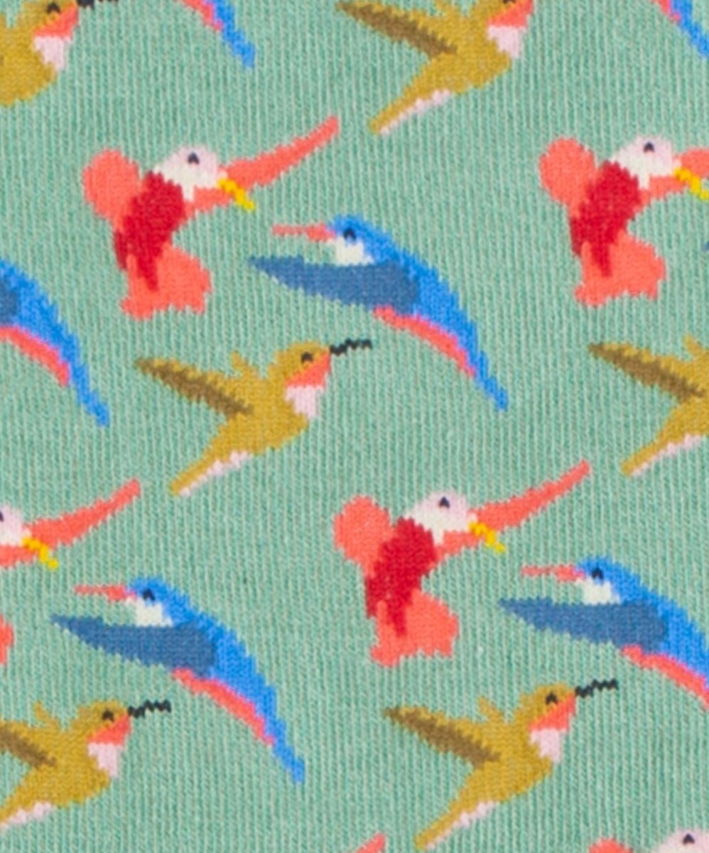 Hummingbird