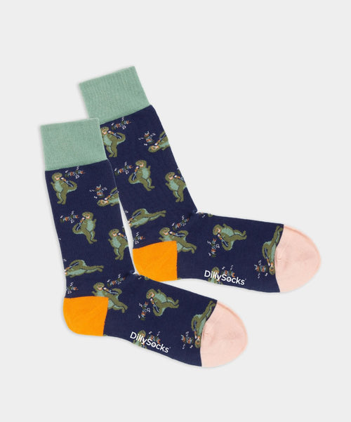 dilly socks Notre chaussettes: Karaoke Dino