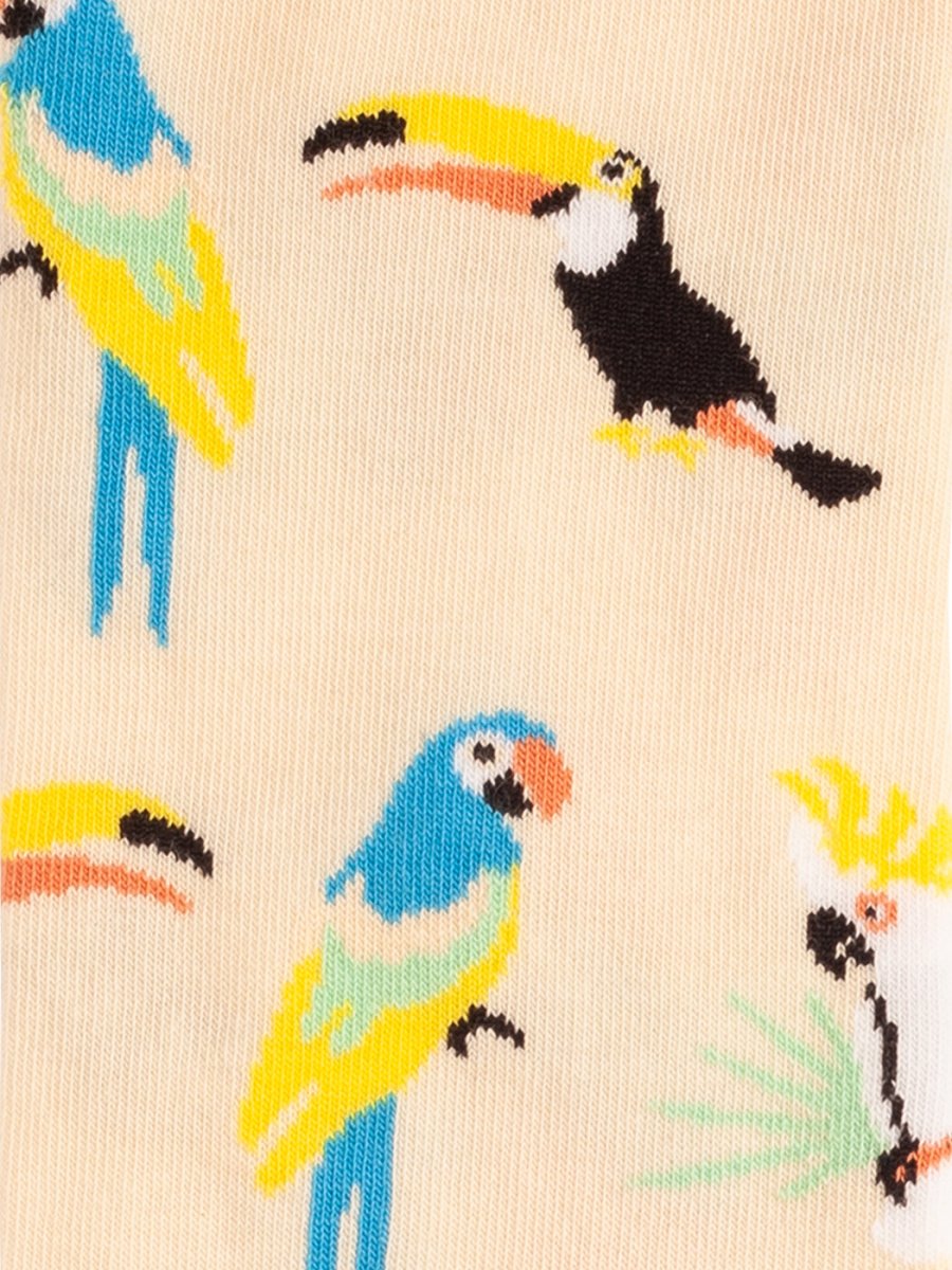 Socken Kingfisher Paradise (3er Pack) von DillySocks