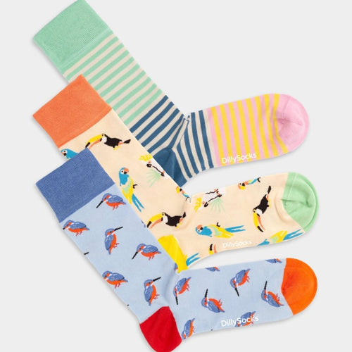Socken Kingfisher Paradise (3er Pack) von DillySocks
