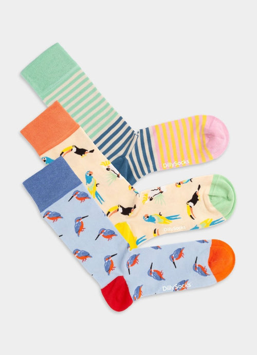 Socken Kingfisher Paradise (3er Pack) von DillySocks
