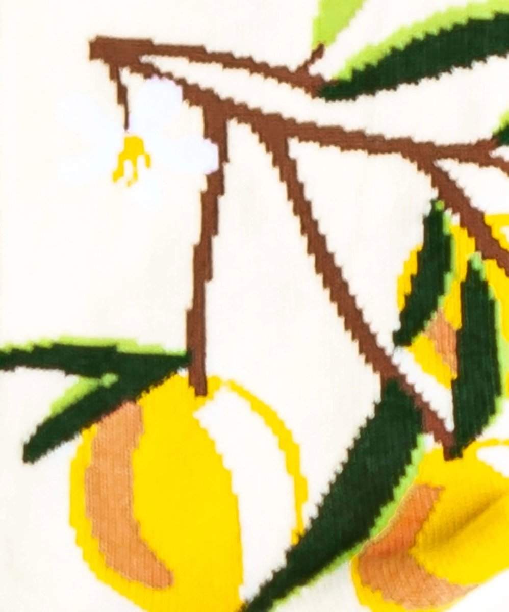 Socken Lemon Twig von DillySocks