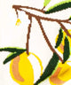 Lemon Twig