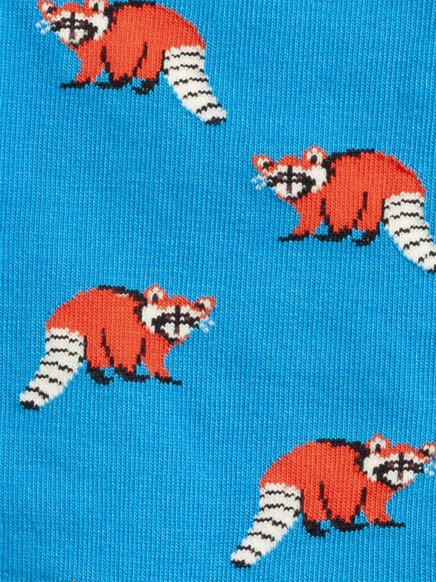 Look Racoon