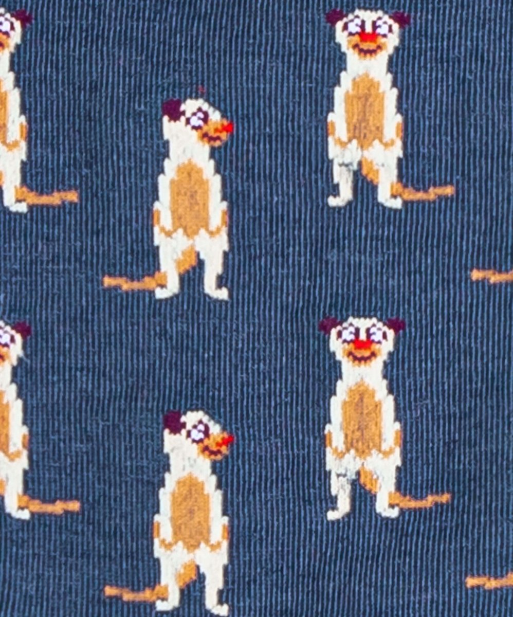 Meerkat