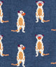Meerkat