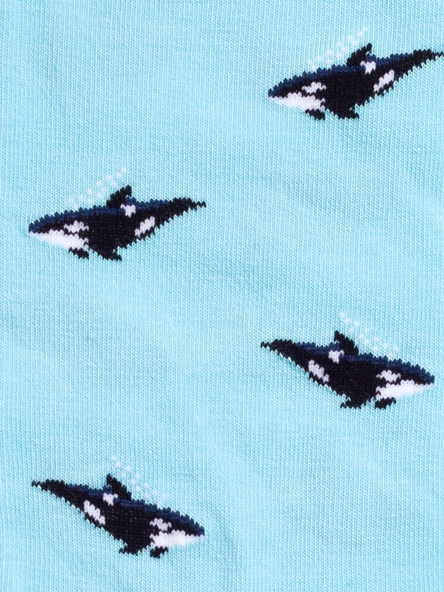 Socken Orca Fever von DillySocks