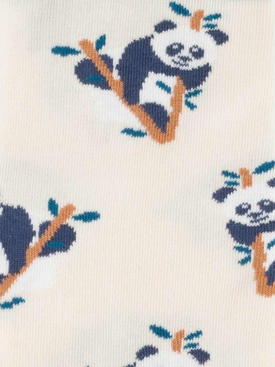 Lustiger Panda Pal rollt einen Hang runter, perfekte Socken kaufen