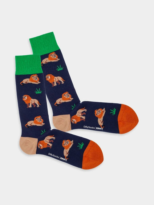 Product image - Panthera Lion
