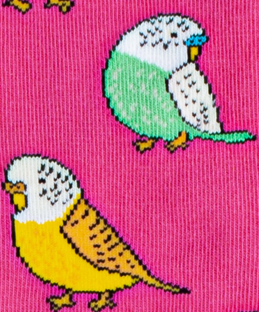 Socken Party Birds von DillySocks